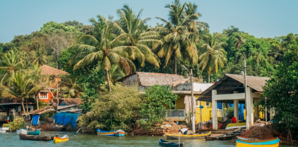 Goa - Image 4