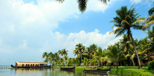 Kerala - Image 3