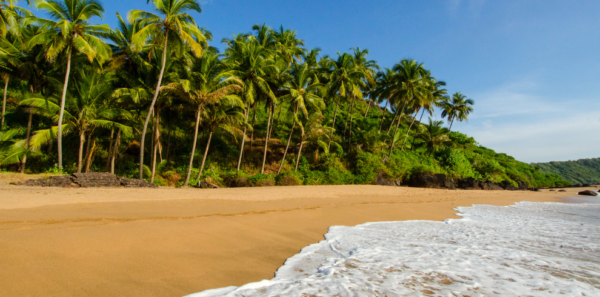 Goa - Image 3
