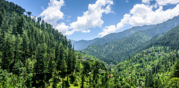 Himachal Pradesh - Image 4