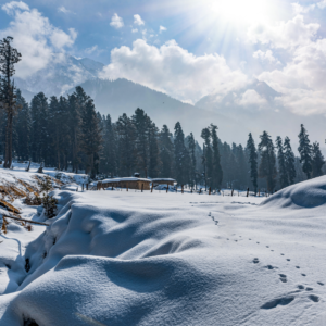Kashmir