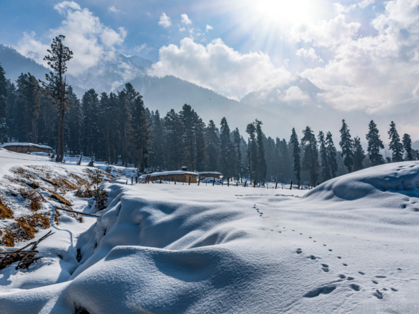 Kashmir